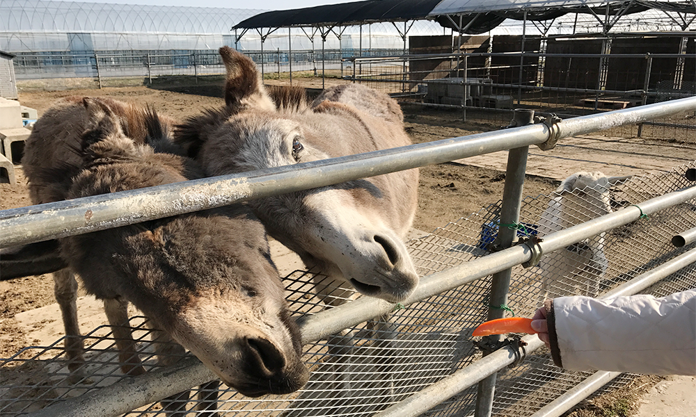 小山市の自然